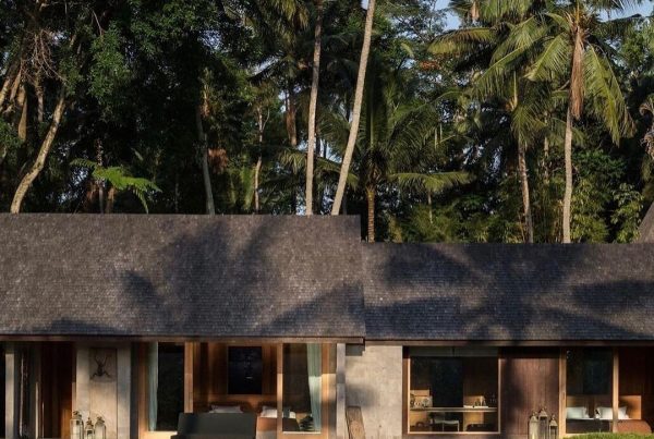 Luxury tropical villa surrounded by palm trees at the Samir Hospitality wellness retreat.