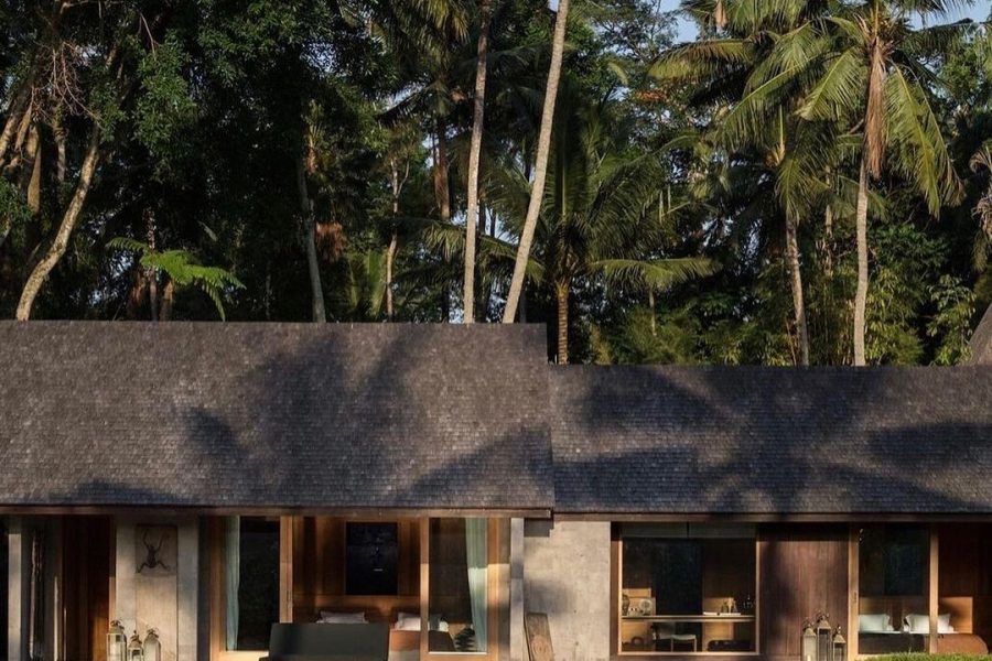 Luxury tropical villa surrounded by palm trees at the Samir Hospitality wellness retreat.